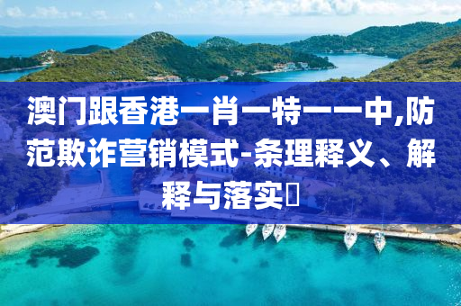 澳門跟香港一肖一特一一中,防范欺詐營銷模式-條理釋義、解釋與落實?